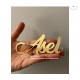 GOLD  AYNALI PLEKSİ  YAPIŞKANLI İSİMLİK(12*5 cm)