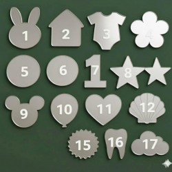 GÜMÜŞ MAGNET ÇEŞİTLERİ