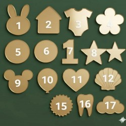 GOLD MAGNET ÇEŞİTLERİ