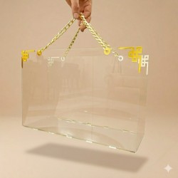 Gold Zincir Detaylı Şeffaf Pleksi  Çanta 