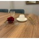 GOLD METAL KULPLU ŞEFFAF PLEKSİ SUNUM NİŞAN TEPSİSİ (20*30 CM)